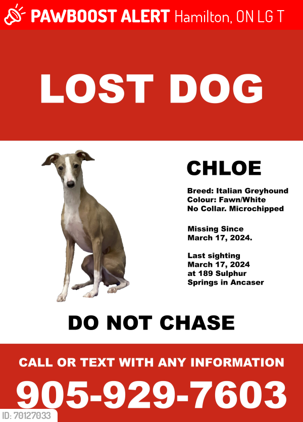 Lost Female Dog last seen Near Sulphur Springs Road, Ancaster, Ontario, Hamilton, ON L9G 4T7