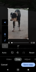 Lost Male Dog last seen Near Apache Lane Montgomery TX 77316, Montgomery, TX 77316