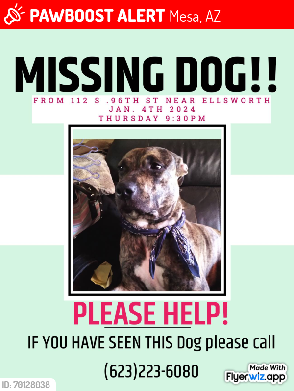 Lost Male Dog last seen Main/Ellsworth , Mesa, AZ 85208