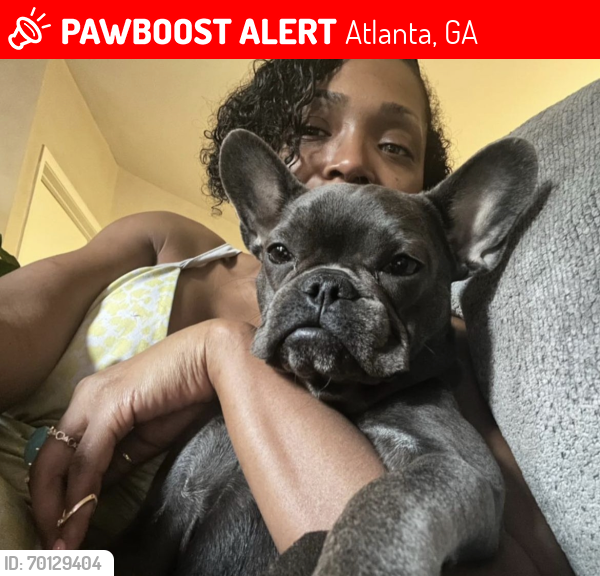 Lost Female Dog last seen https://maps.google.com/maps/place//data=!4m2!3m1!1s0x88f505fc9573f1bf:0x751a28a2b00465d4?entry=s&sa=X&ved=1t:8290&hl=en-us&ictx=111, Atlanta, GA 30305