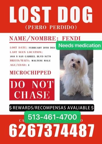 Lost Male Dog last seen Motapet, San Gabriel, CA 91776