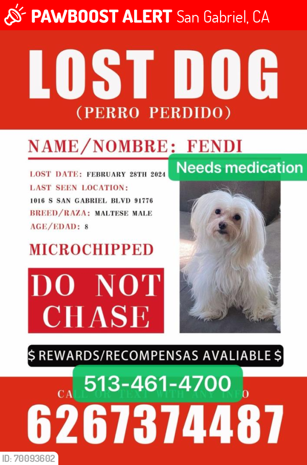 Lost Male Dog last seen Motapet, San Gabriel, CA 91776