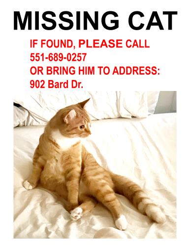 Lost Male Cat last seen Near Bard Dr, Shippensburg, PA 17257