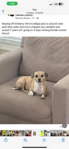Lost Male Dog last seen Kimberly mill rd, College Park, GA 30349