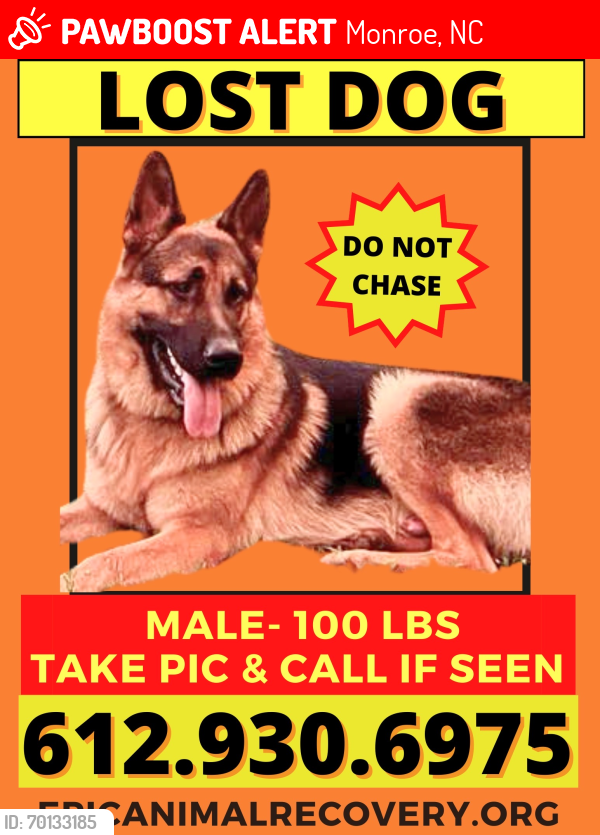 Lost Male Dog last seen Near Old Pageland Monroe Rd, Monroe, NC 28112, Monroe, NC 28112