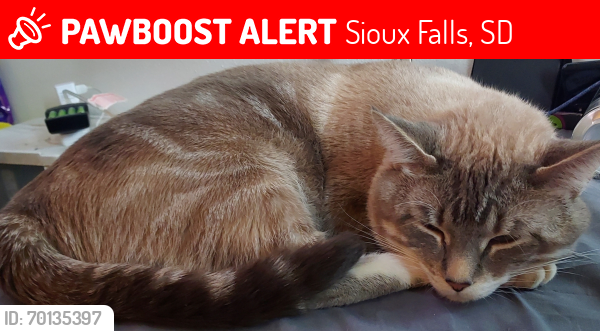 Lost Male Cat last seen E 26th St and Cleveland Ave , Sioux Falls, SD 57103