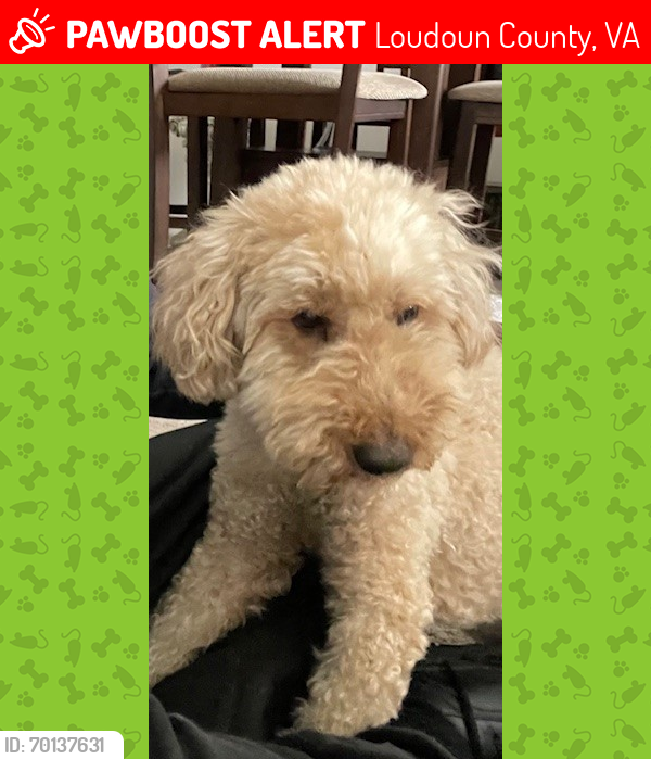 Lost Male Dog last seen Arcadian Pond Ct. Willowsford., Loudoun County, VA 20105