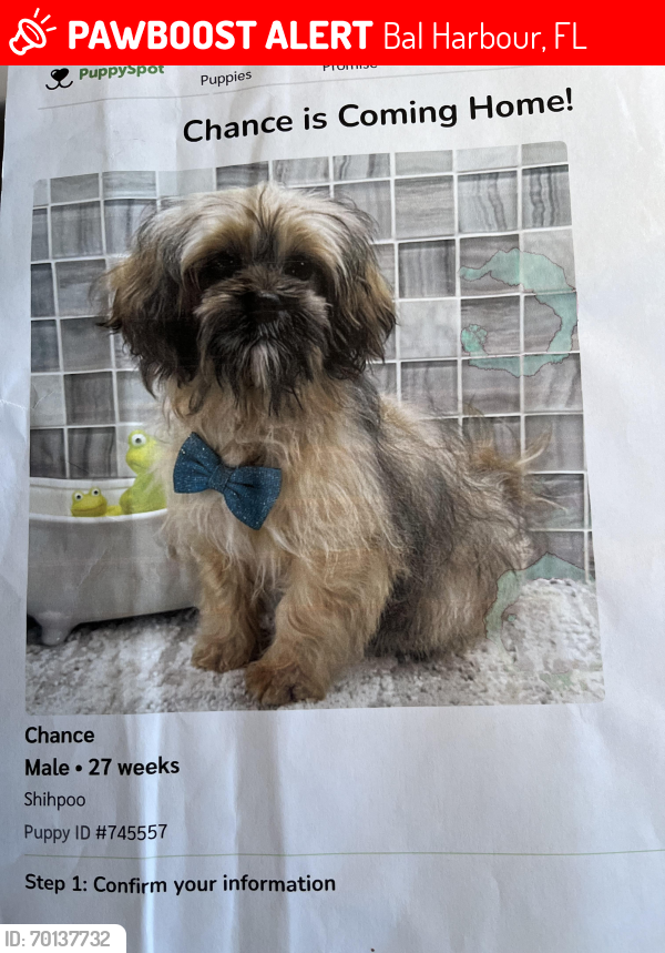 Lost Male Dog last seen Near Collins Ave, Bal Harbour, FL 33154