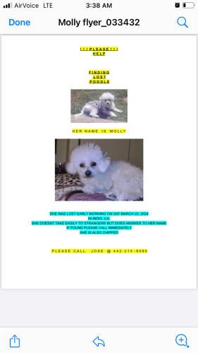 Lost Female Dog last seen Golf Center Dr. and Avenue 45 Indio,ca, Indio, CA 92201