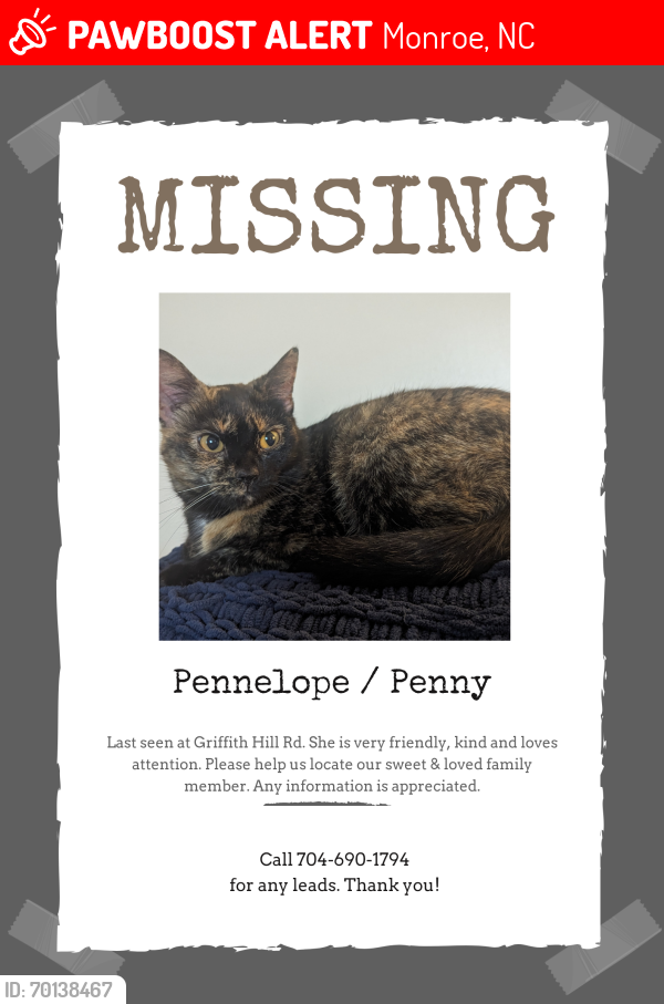 Lost Female Cat last seen Griffith Park South, Monroe, NC 28112