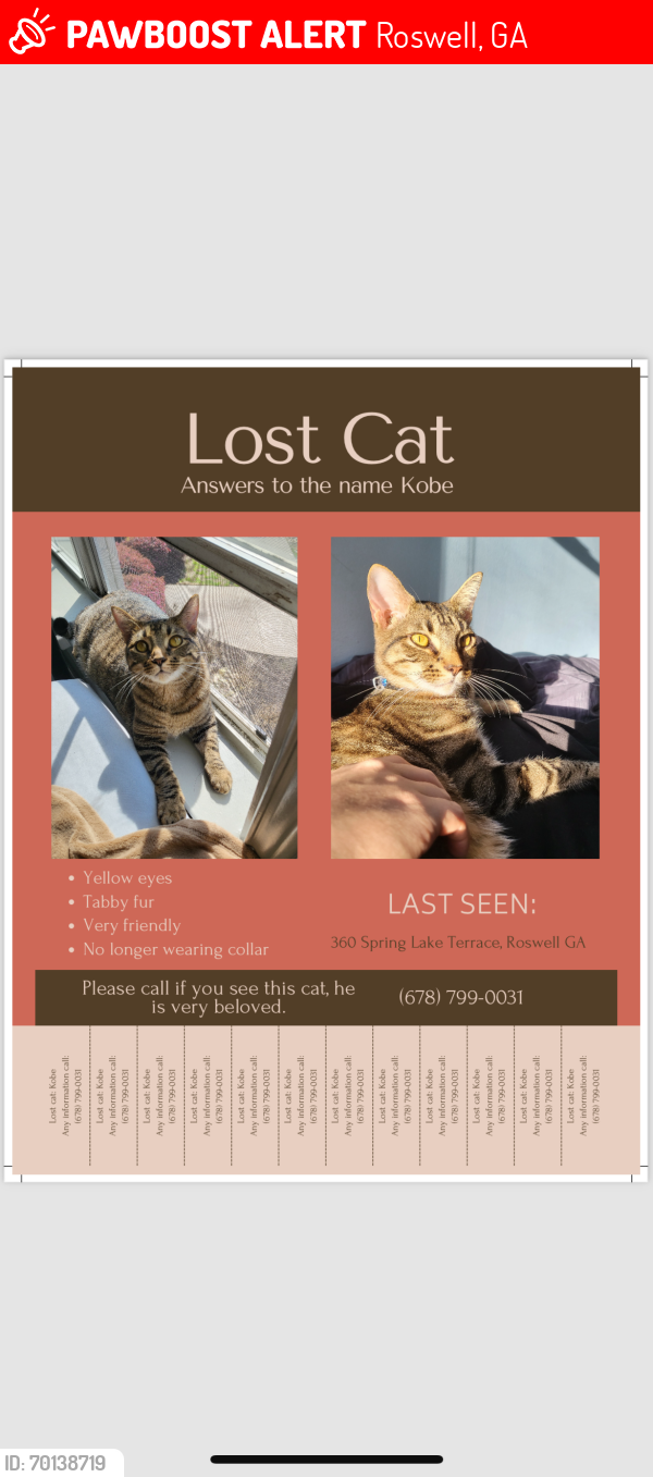 Lost Male Cat last seen watergate drive, Roswell, GA 30076
