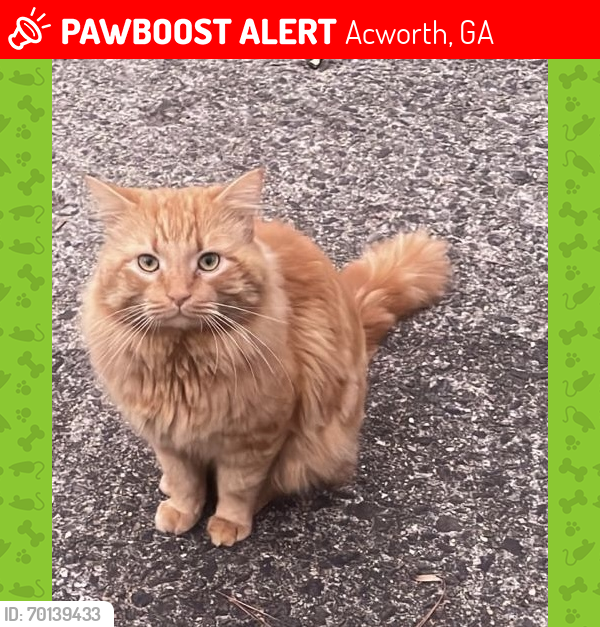 Lost Male Cat last seen Valley Turn and Lake Forest Drive, Acworth, GA 30102