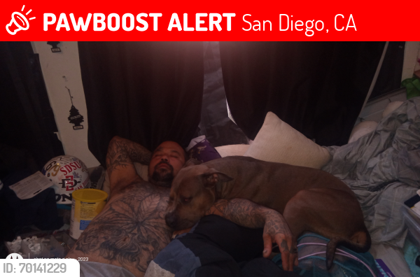 Lost Male Dog last seen Near G st , San Diego, CA 92101