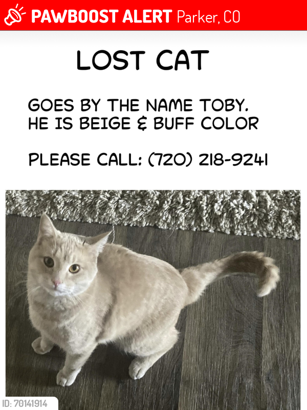 Lost Male Cat last seen Carlson drive, Parker Co, Parker, CO 80134
