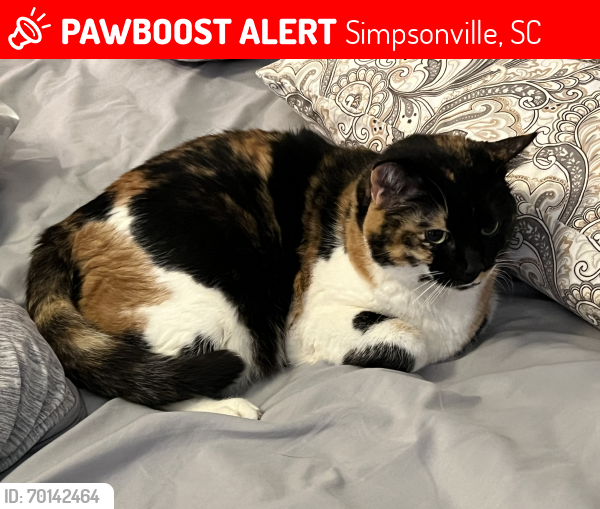 Lost Female Cat last seen Heritage Village- Daybreak Street, Simpsonville, SC, Simpsonville, SC 29681
