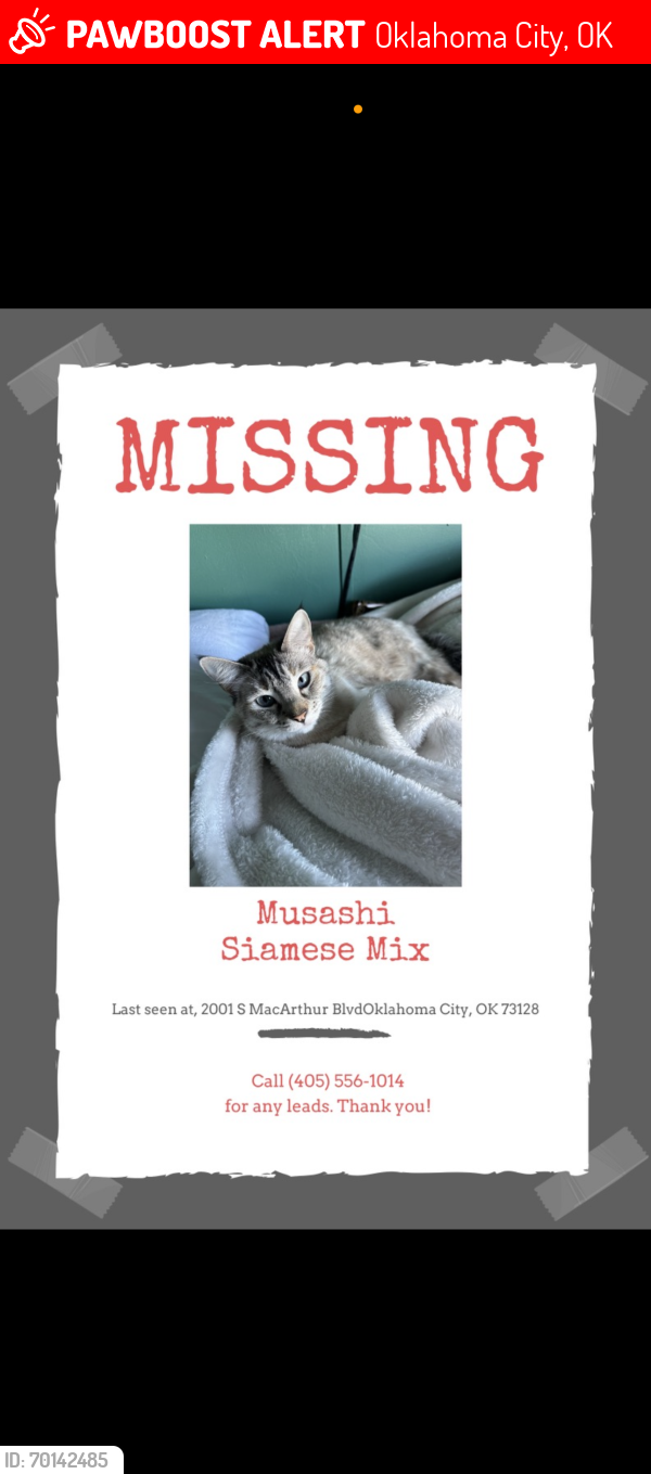 Lost Male Cat last seen Near s MacArthur blvd 73128 Oklahoma city , Oklahoma City, OK 73128
