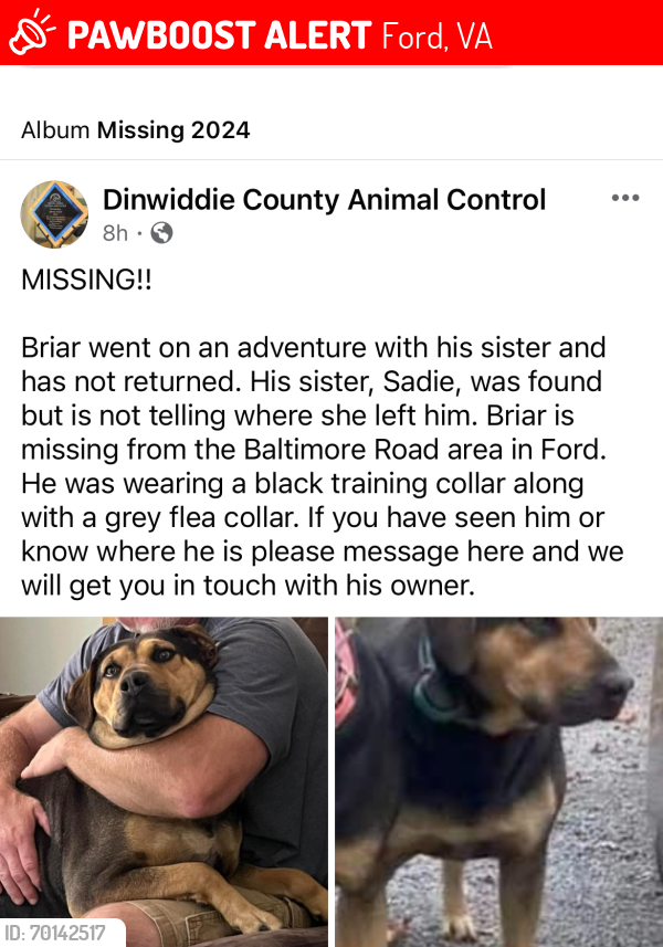 Lost Male Dog last seen Route 460/Clay Street Road/Baltimore Road, Ford, VA 23850