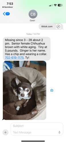 Lost Female Dog last seen Lake mead and sloan, Las Vegas, NV 89156