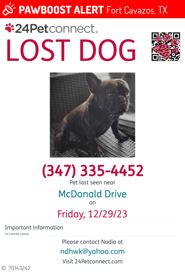 Lost Male Dog last seen Mcdonald Drive, Fort Cavazos, TX 76544