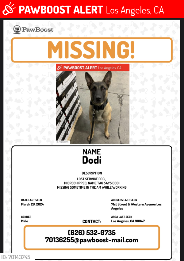 Lost Male Dog last seen Western and 71st , Los Angeles, CA 90047