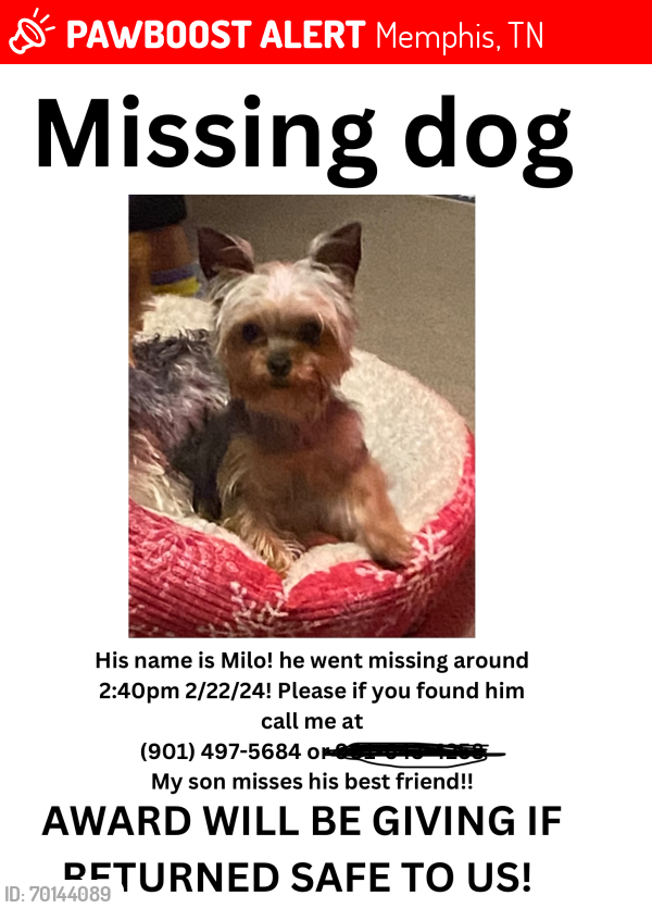 Lost Male Dog last seen Oakhaven mobile s, Memphis, TN 38118