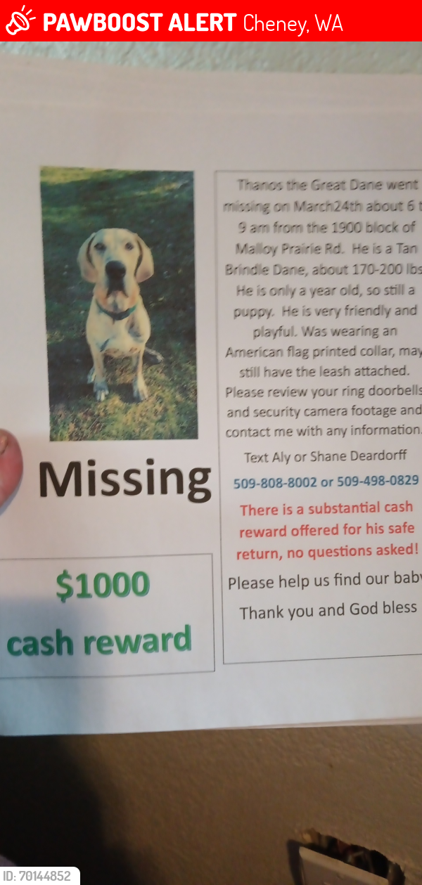 Lost Male Dog last seen Malloy prairie and cameron, Cheney, WA 99004