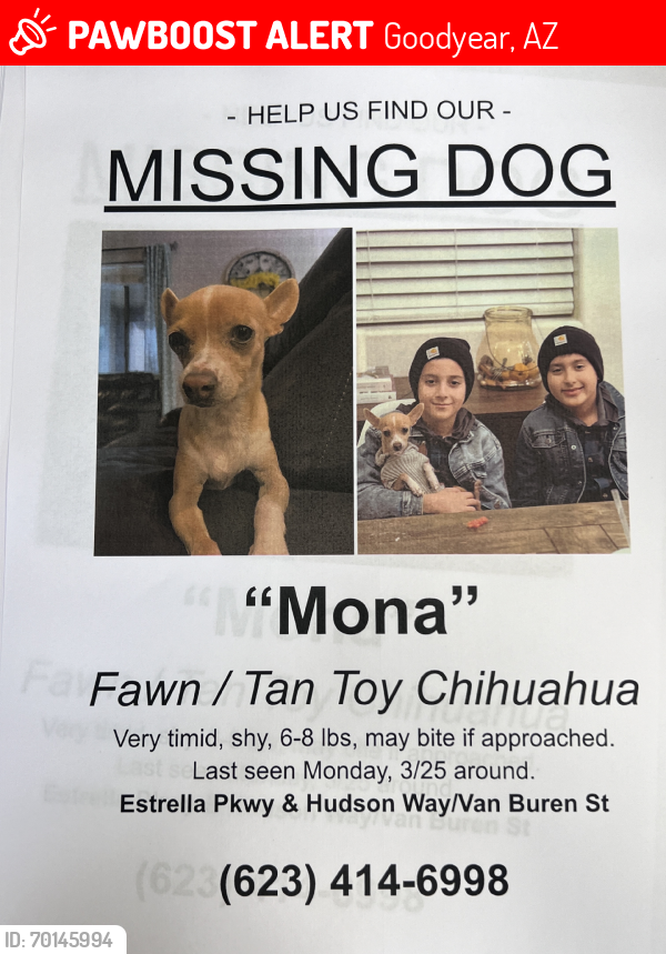 Lost Female Dog last seen Estrella parkway and van buren, Goodyear, AZ 85338