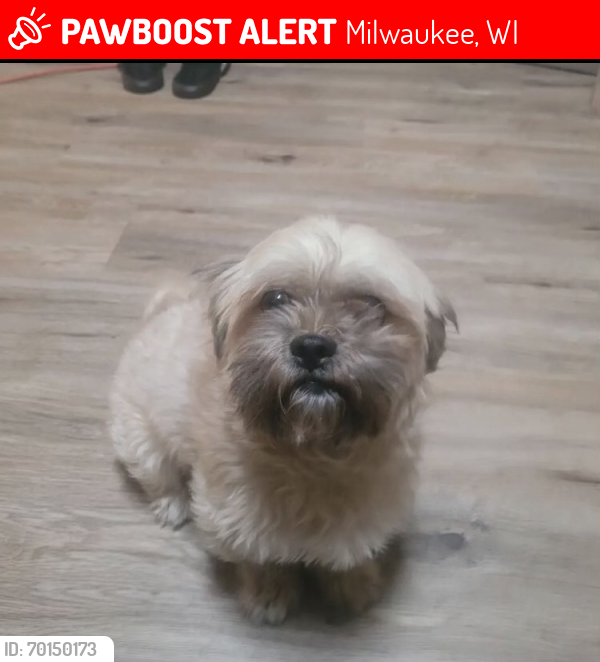 Lost Male Dog last seen Near W Custer Avenue, Milwaukee, WI 53218