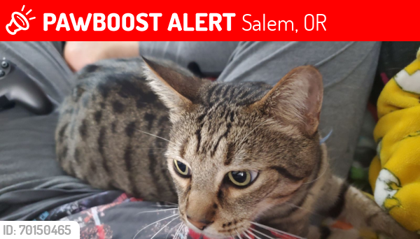 Lost Male Cat last seen McClay st, Salem, OR 97317