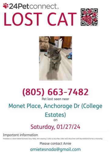 Lost Male Cat last seen College ests Park, Oxnard, CA 93033