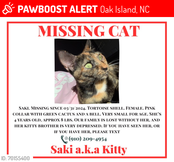 Lost Female Cat last seen Hawthorne at pine forest apmts, holiday inn, 211, midway rd. , Oak Island, NC 28422