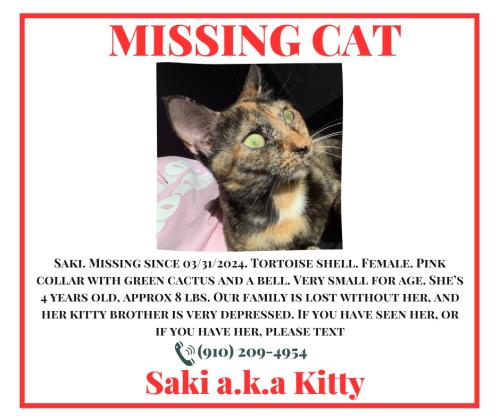 Lost Female Cat last seen Hawthorne at pine forest apmts, holiday inn, 211, midway rd. , Oak Island, NC 28422
