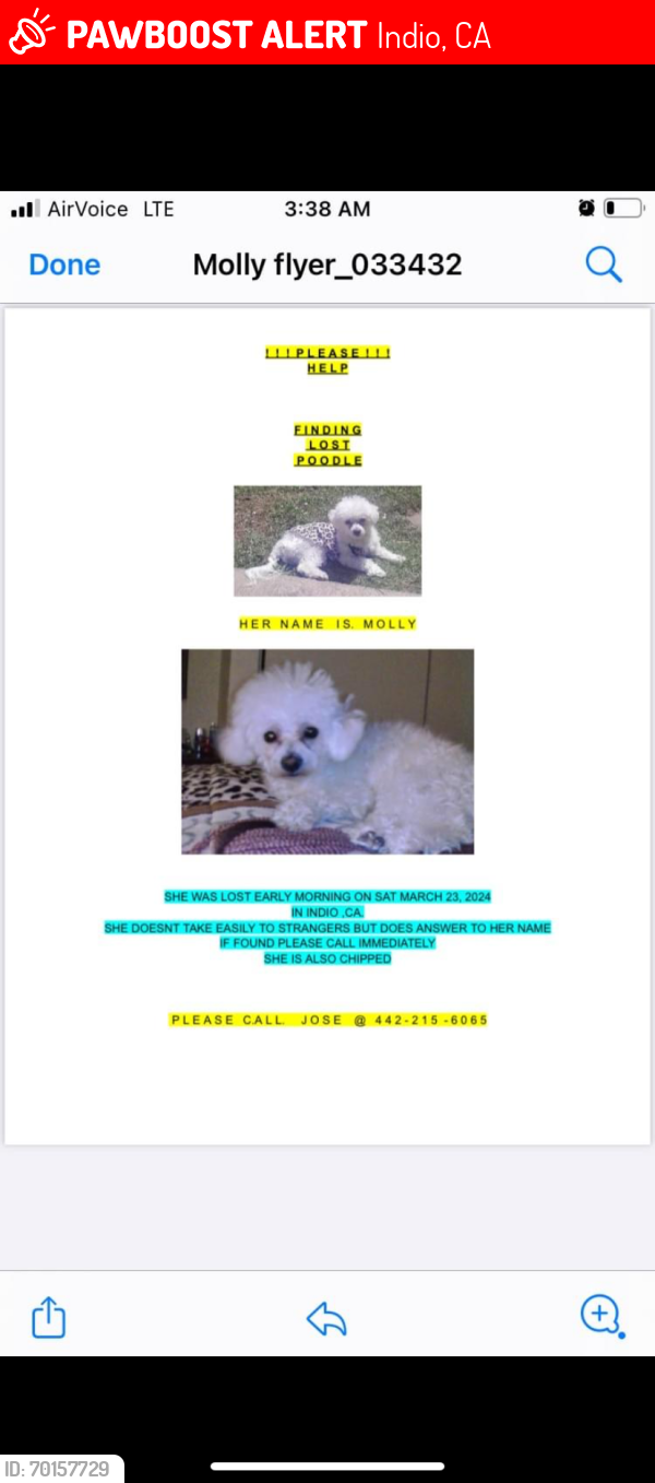 Lost Female Dog last seen Golfcenter park way Indio , Indio, CA 92201