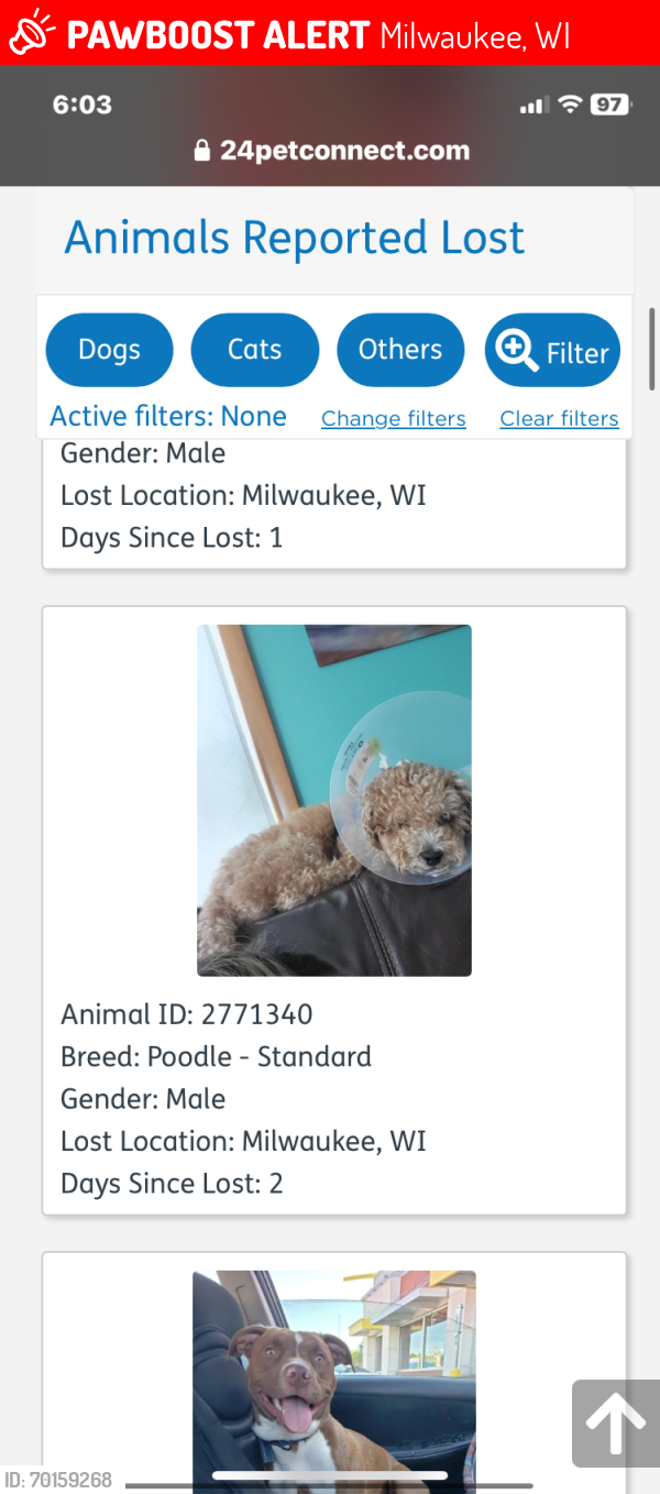 Lost Male Dog last seen Howell/Howard, Milwaukee, WI 53215