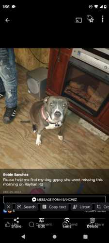 Lost Female Dog last seen Posting for a family member she desperately missing her baby, Pine Bluff, AR 71601