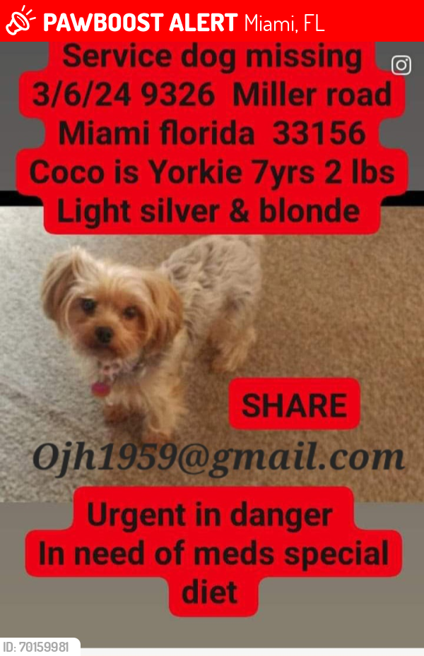 Lost Female Dog last seen Near , Miami, FL 33132