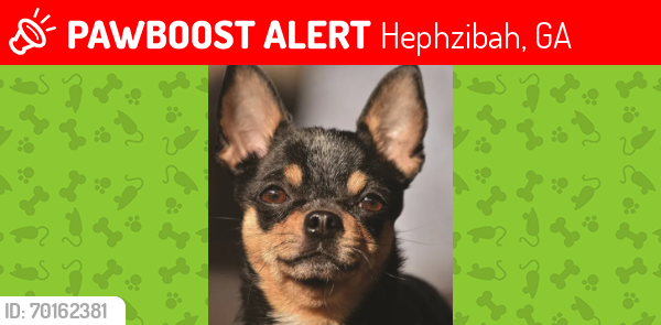 Lost Female Dog last seen by the golf course on 2025 mims rd, Hephzibah, GA 30815