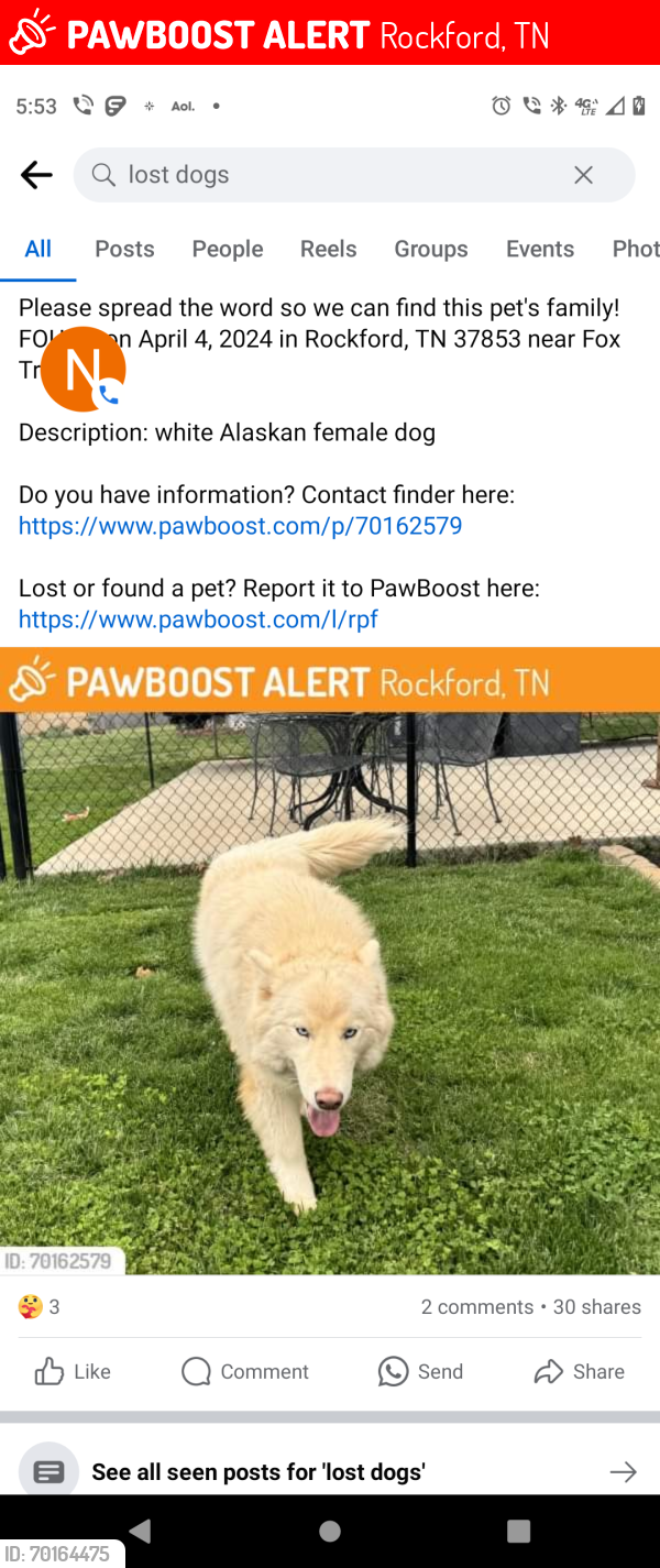 Lost Female Dog last seen Fox Trace Subdivision, Rockford TN , Rockford, TN 37853