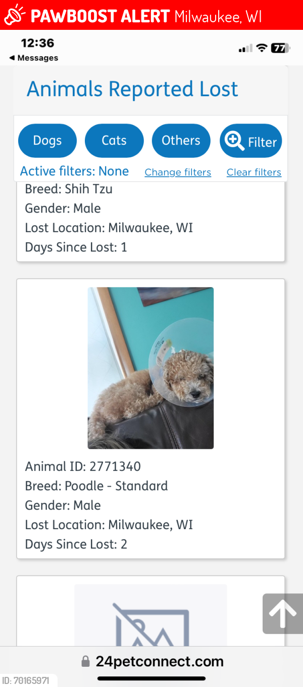 Lost Male Dog last seen Howard/Howell, Milwaukee, WI 53207