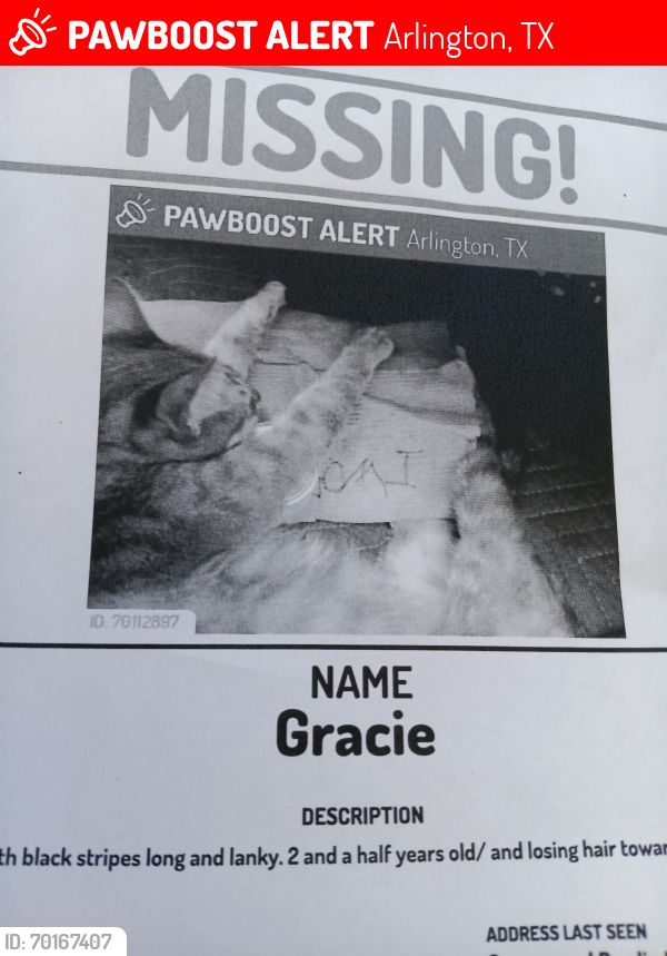 Lost Female Cat last seen Cooper , Arlington, TX 76017