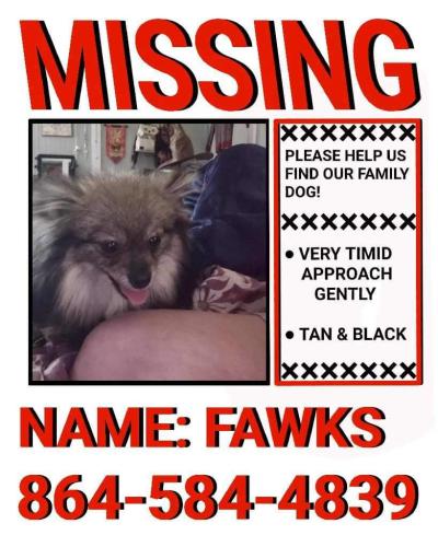 Lost Female Dog last seen Ashe dr, Greenville, SC 29617