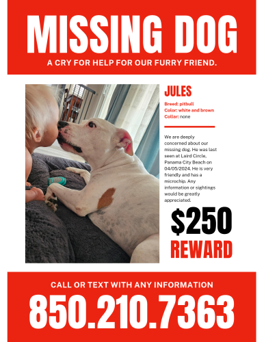 Lost Male Dog last seen Laird st , Panama City, FL 32408