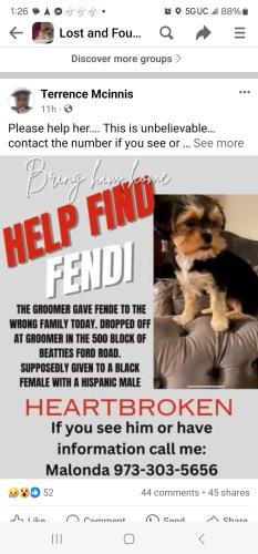 Lost Male Dog last seen J C Smith University , Charlotte, NC 28216