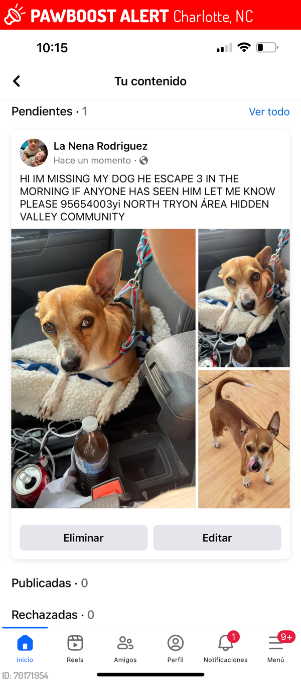 Lost Male Dog last seen Near , Charlotte, NC 28213