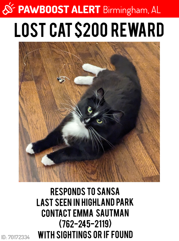 Lost Female Cat last seen Windsor apmts, Juniper, Birmingham, AL 35222