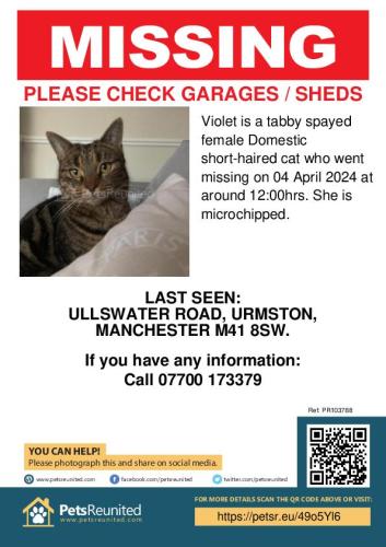 Lost Female Cat last seen Thirlmere road/Eastway. , Urmston, England M41