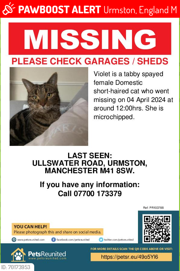 Lost Female Cat last seen Thirlmere road/Eastway. , Urmston, England M41