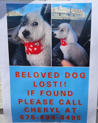 Lost Male Dog last seen Meridian Drive and Stephanie Court, Stockbridge GA , Stockbridge, GA 30281