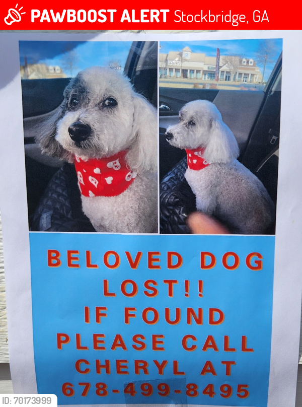 Lost Male Dog last seen Meridian Drive and Stephanie Court, Stockbridge GA , Stockbridge, GA 30281