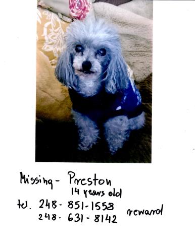 Lost Male Dog last seen 14 MILE & TELEGRAPH , Franklin, MI 48025
